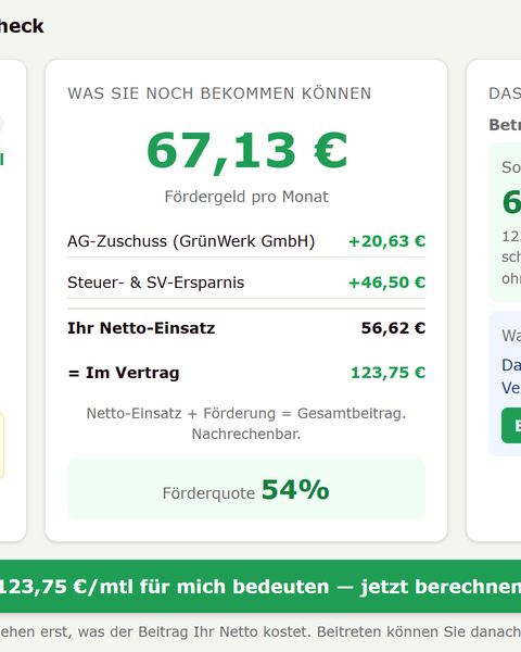 Ausschnitt: Fördergeld pro Monat